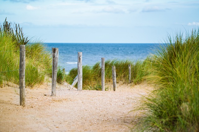 thin, sea, fence